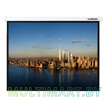 Проекционный экран Lumien Master Picture 191x300 (LMP-100136)